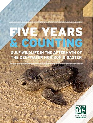2015. National Wildlife Federation’s “five-years-later” report on Gulf spill’s wildlife impacts. Click for copy.