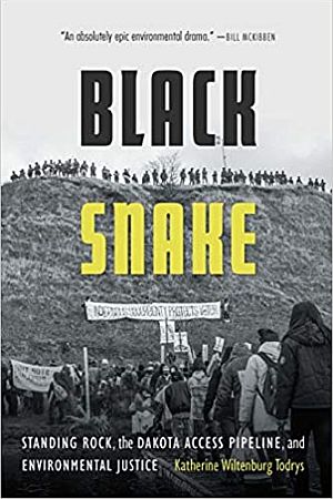 Katherine Wiltenburg Todrys’ 2020 book, “Black Snake: Standing Rock, The Dakota Access Pipeline, and Environmental Justice,” Bison Books, 352 pp.  Click for copy.