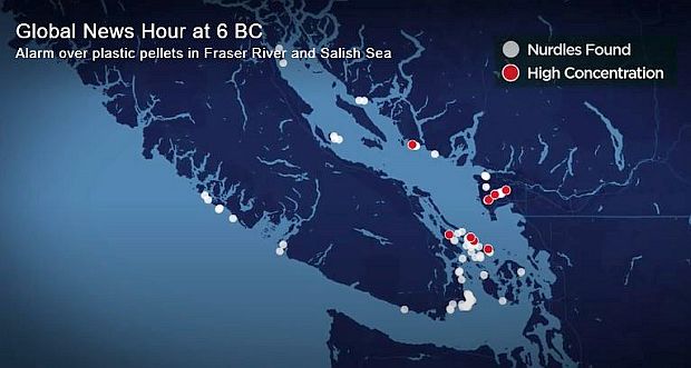 This map shows Vancouver Island, British Columbia, Canada, just off the Northwest corner of the United States north of Seattle, WA.  It is a screen shot from a 2019 Canadian television news report on nurdle pollution in the waters off and around Vancouver city, BC, the Fraser River, Salish Sea, and Vancouver Island. Source, Global News, Canada.